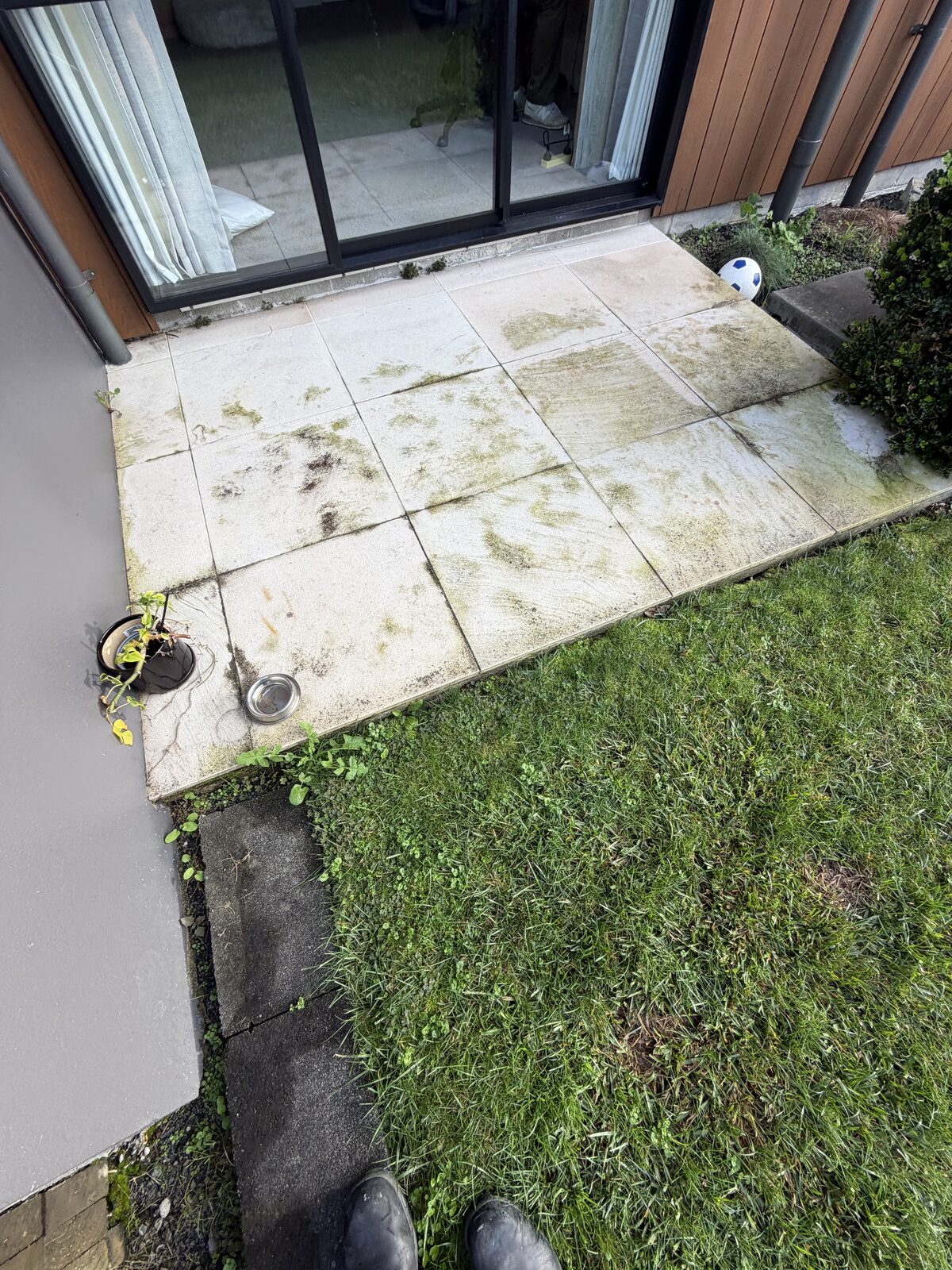 Paver patio before cleaning, covered in moss and grime