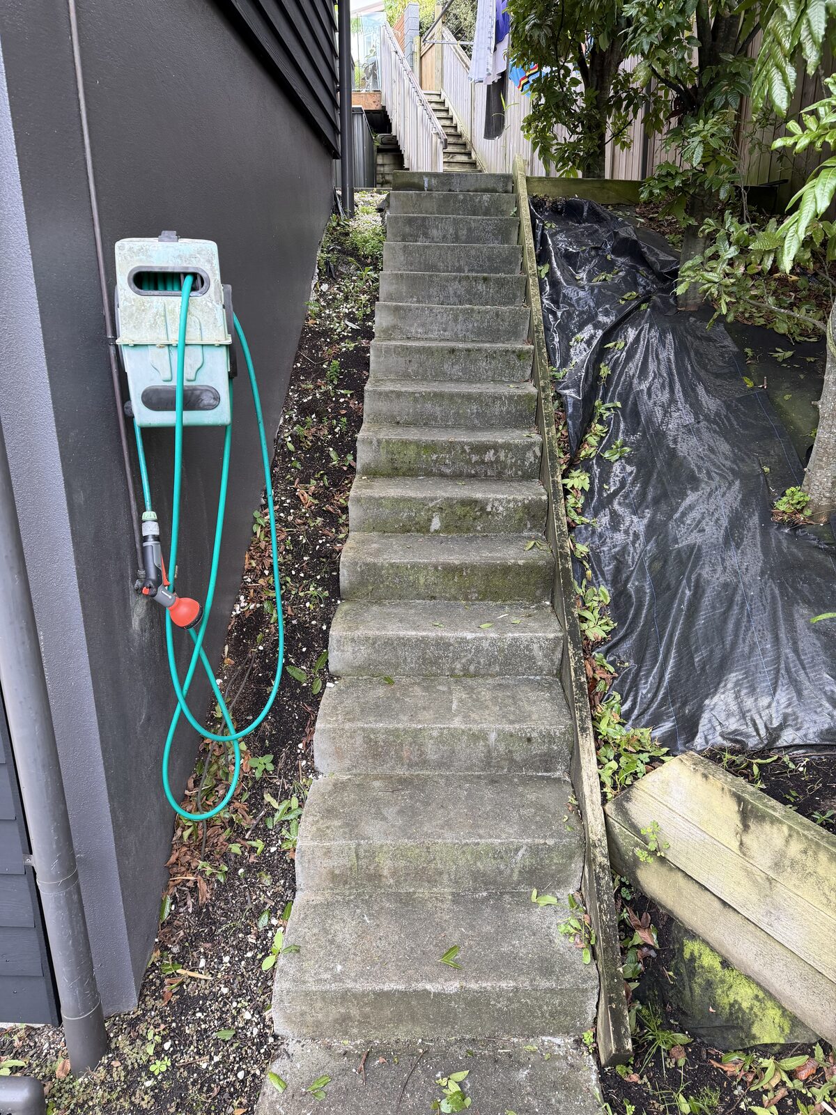Concrete steps before cleaning, covered in moss